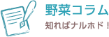 野菜コラム　知ればナルホド！