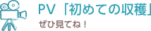 PV「初めての収穫」　ぜひ見てね！